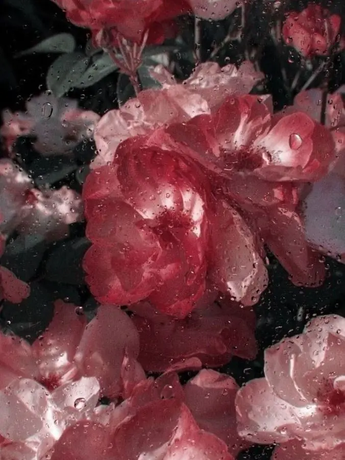 ground.sleep1228의 라더