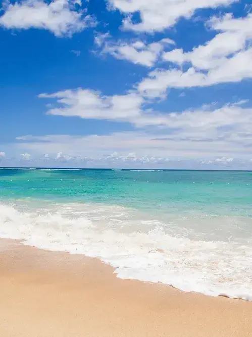 Chenjae0829의 바닷가RPG