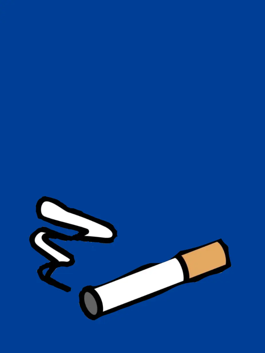 NoisyShrew1840의 一目惚れ