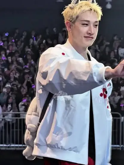 Merry_themeredith의 {{BangChan}}