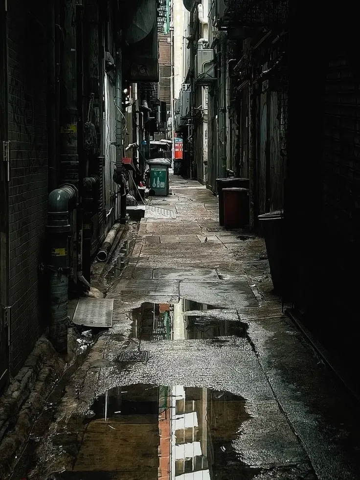 PotentJazz0488의 뜰팁 조직