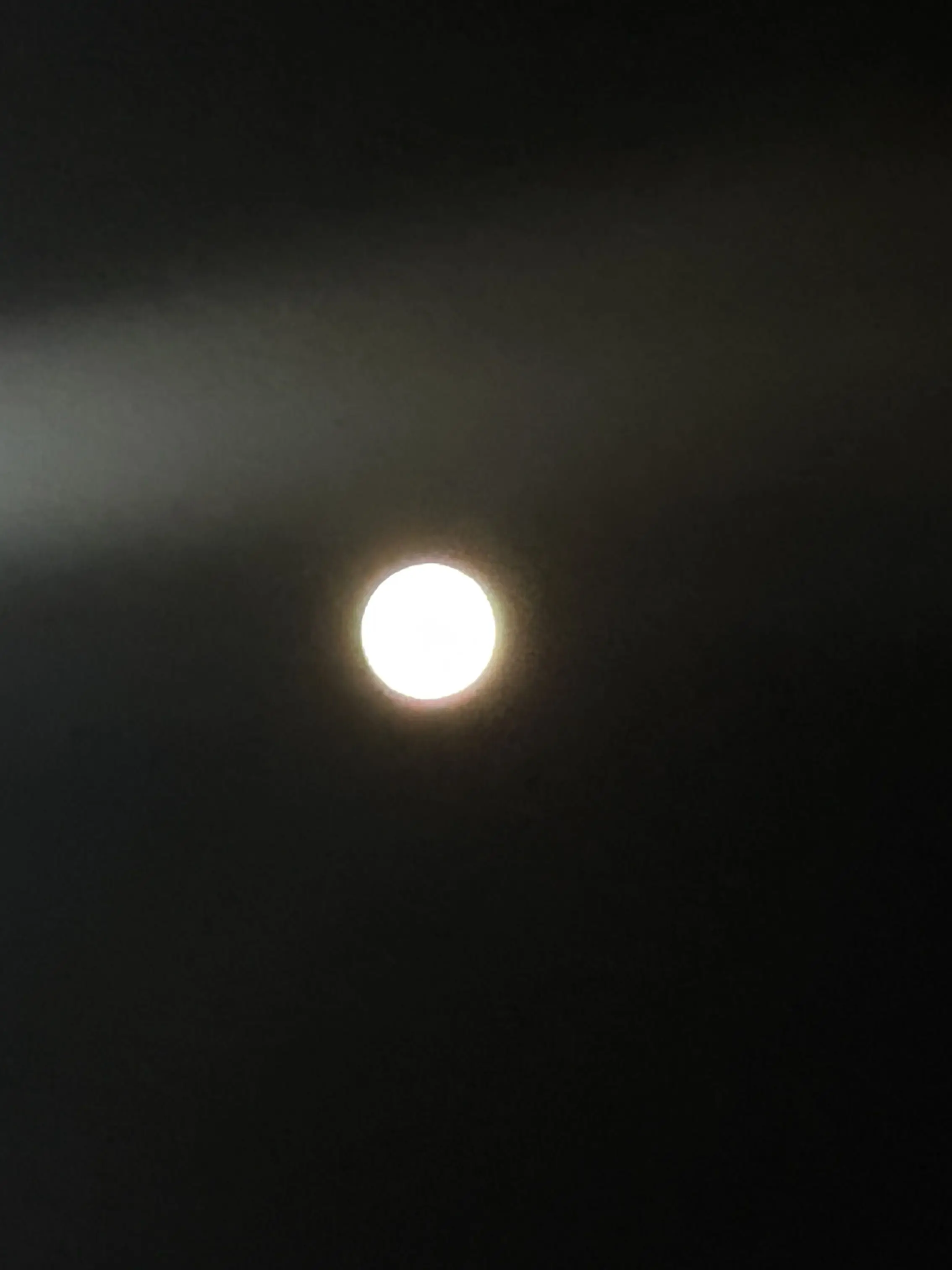 CurvyJazz7304의 ゴンホ