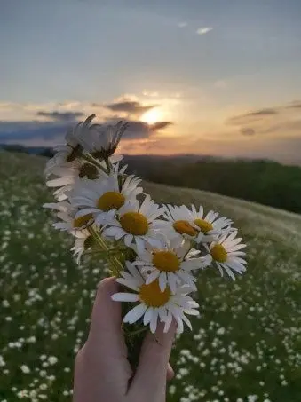 hajin_0209의 새로 온 이웃입니다!