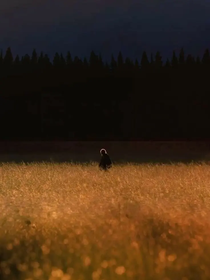Jinxinkaaa의 The Walking Dead
