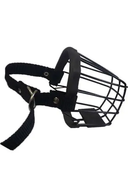 6ix.의 собака