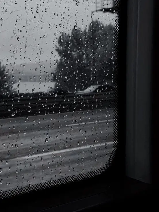 Lynn_0617의 늦잠
