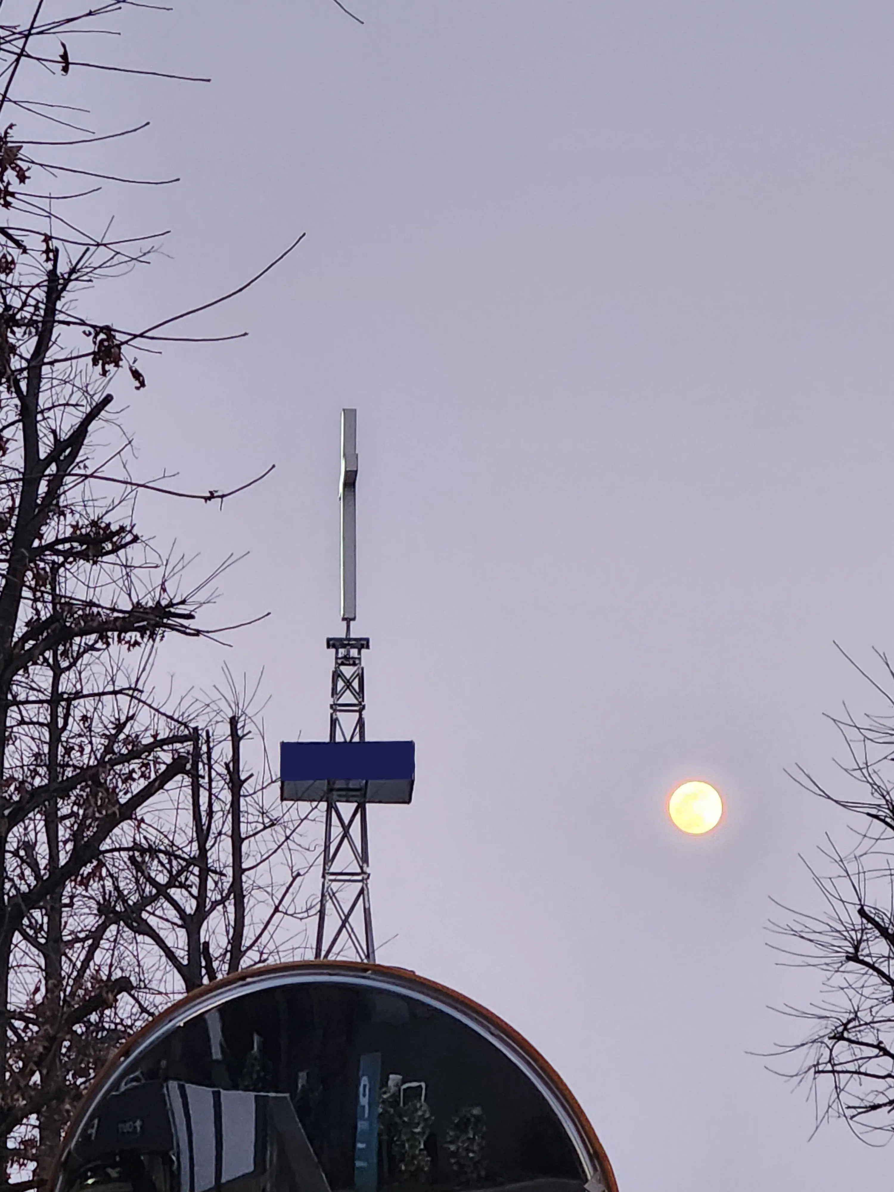 FullMedal9637의 20년의 어리석음.