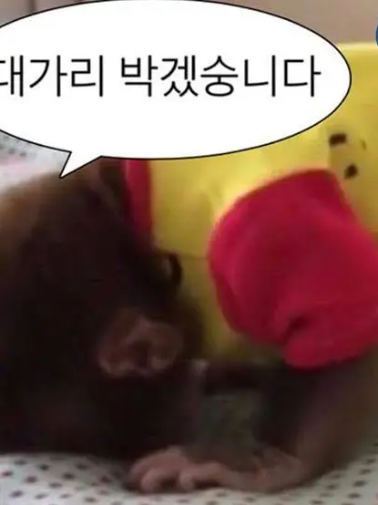 DeepSign3023의 14편이에용...ㅠㅜㅠ!!