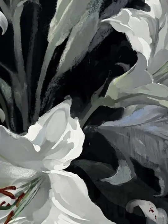 Clevia의 𝑪𝒂𝒔𝒔𝒊𝒖𝒔