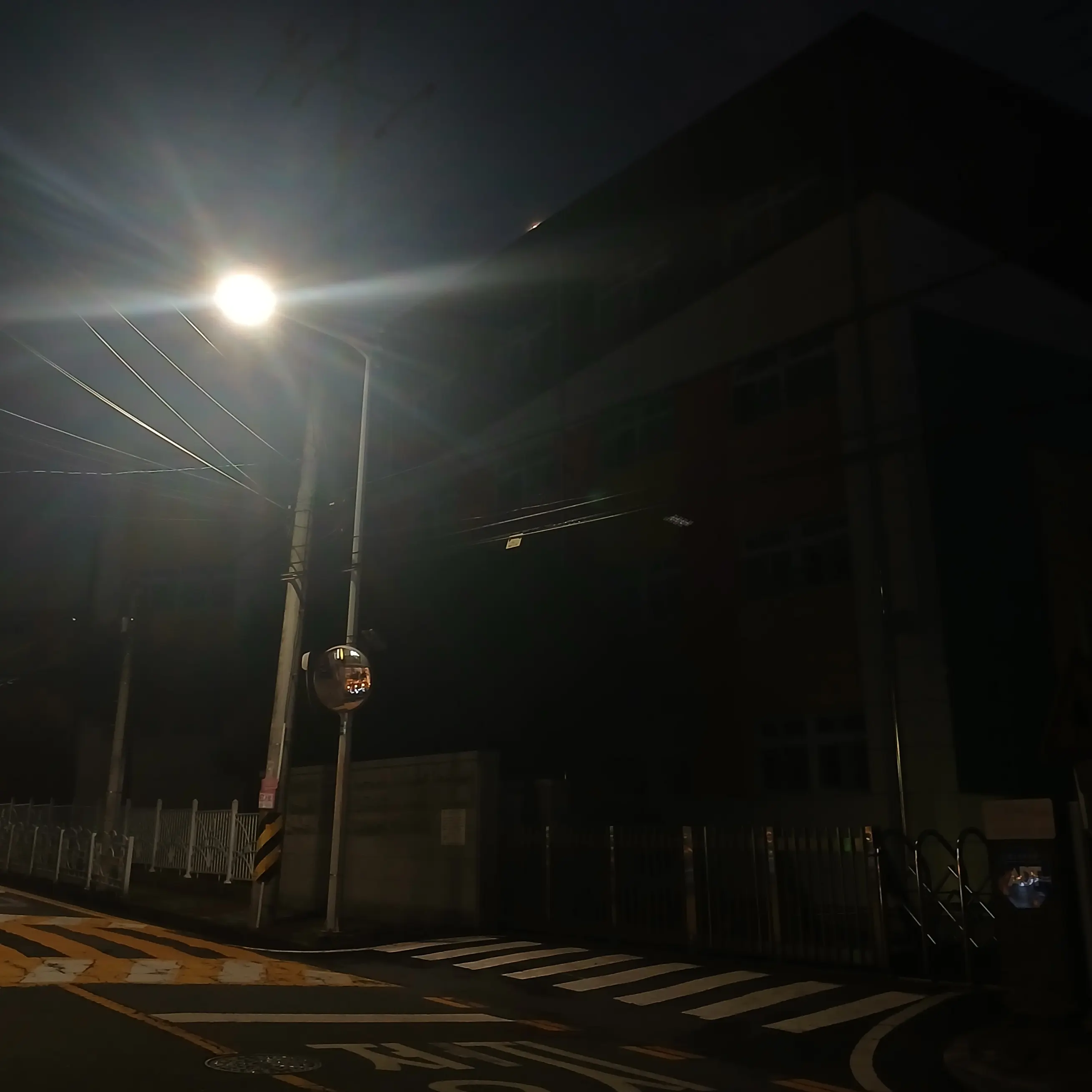 Kim_cheesebird0802의 벼/0신1