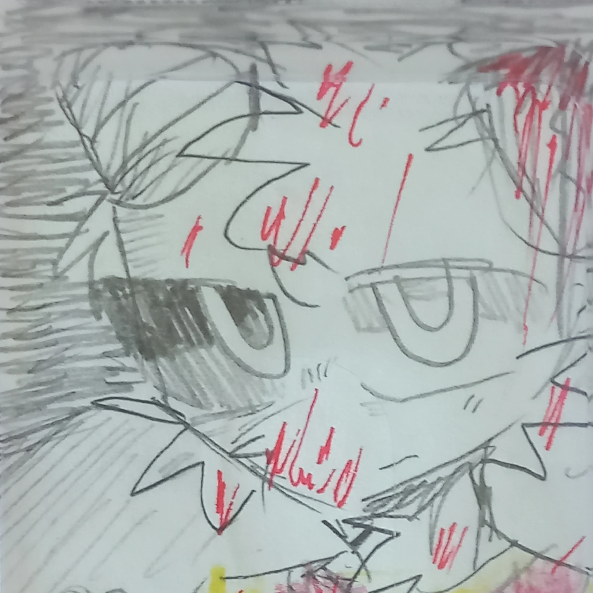 Sheet