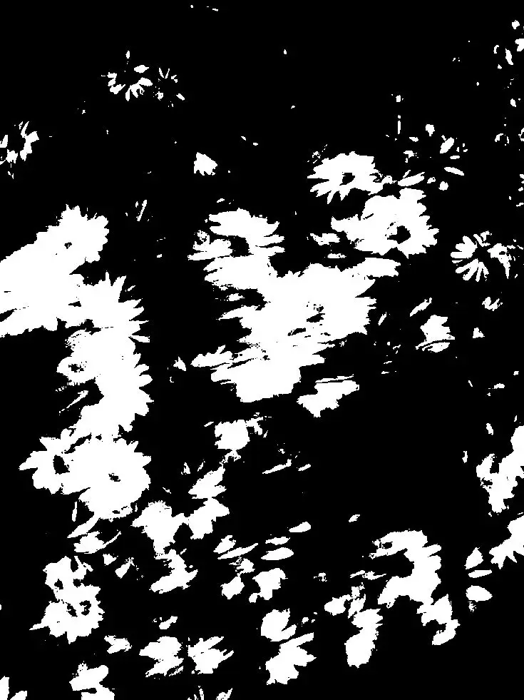 ObserverB의 Bjørn