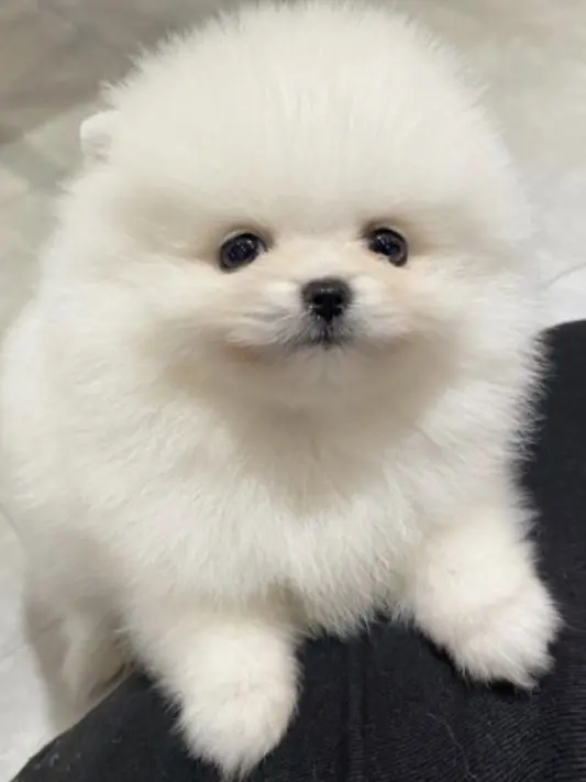 yurapretty의 구름이