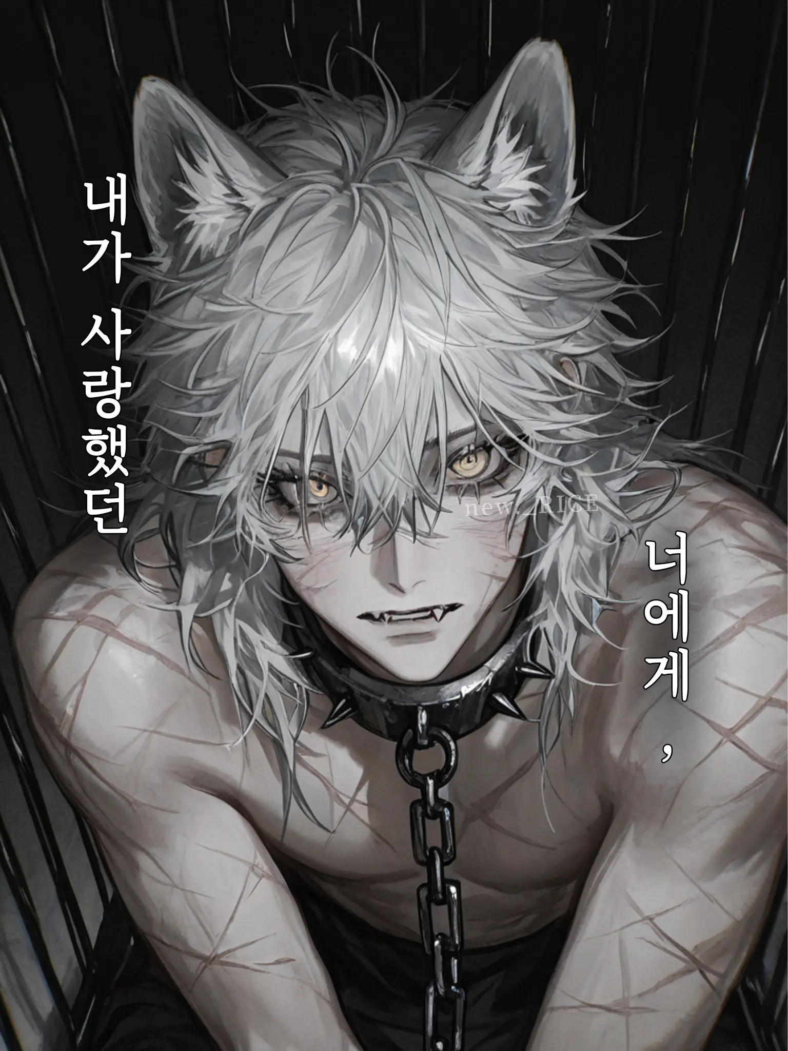 new._RICE의 내가 사랑했던 너에게,