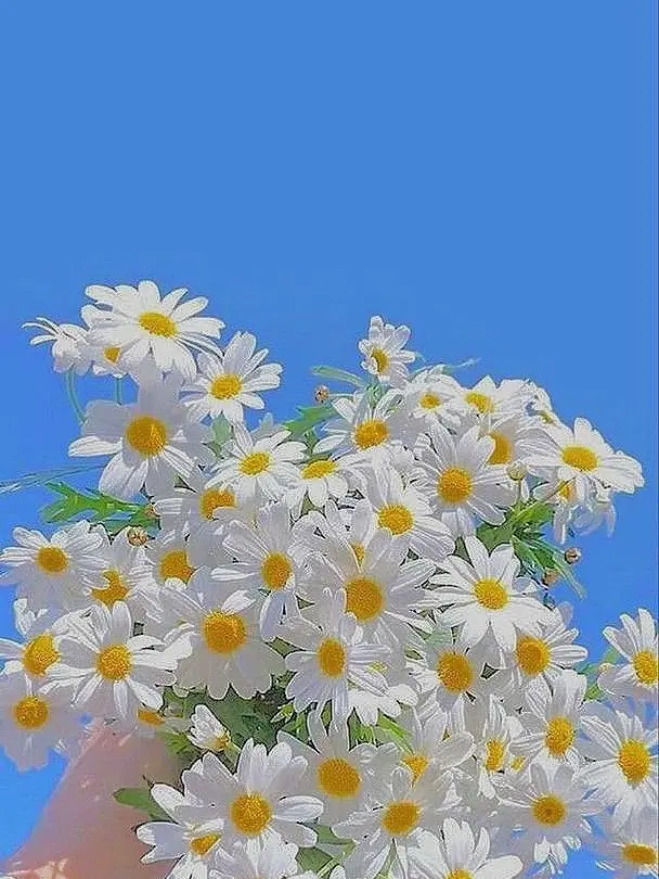 cloud1025의 天馬 司?