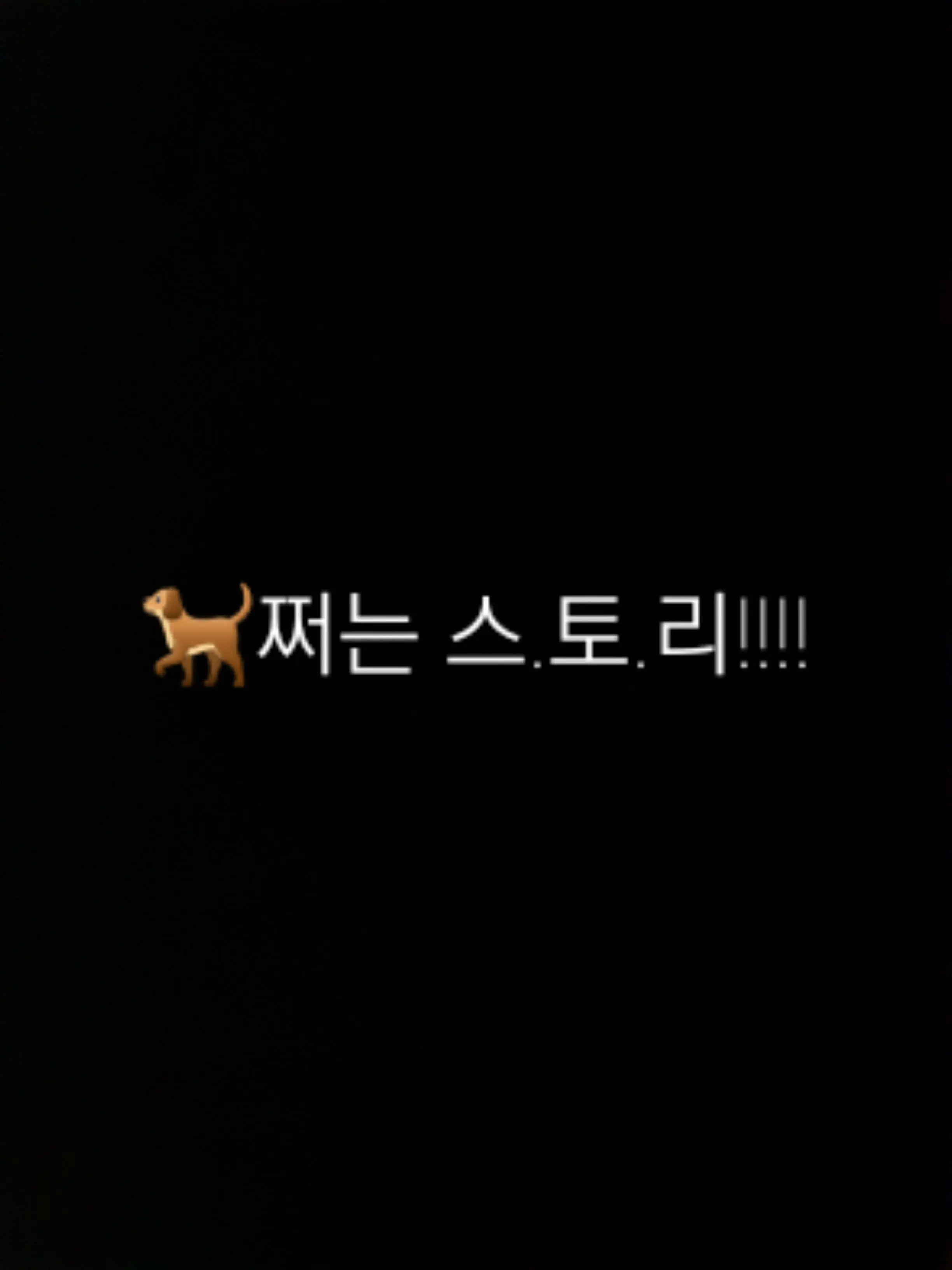 FitMatch3864의 🐕쩌는 스토리
