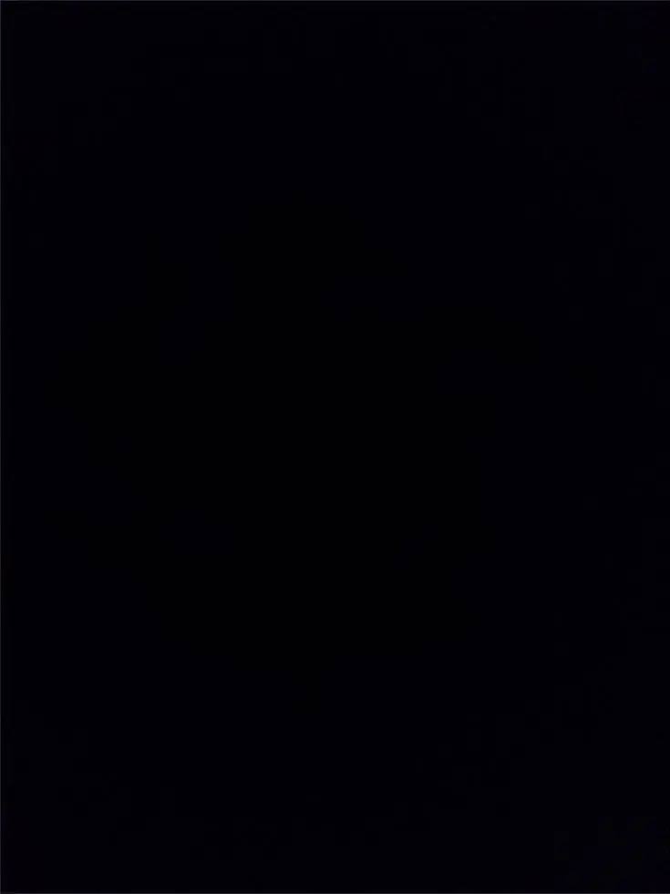 robuttokiwi의 ≟