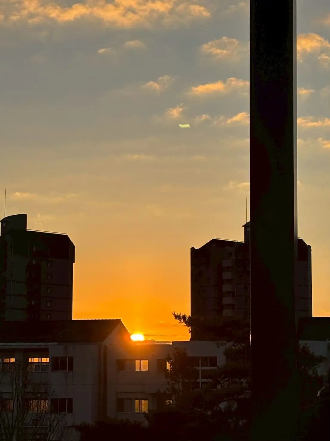 noahetariakannhyuzuki의 アメ日