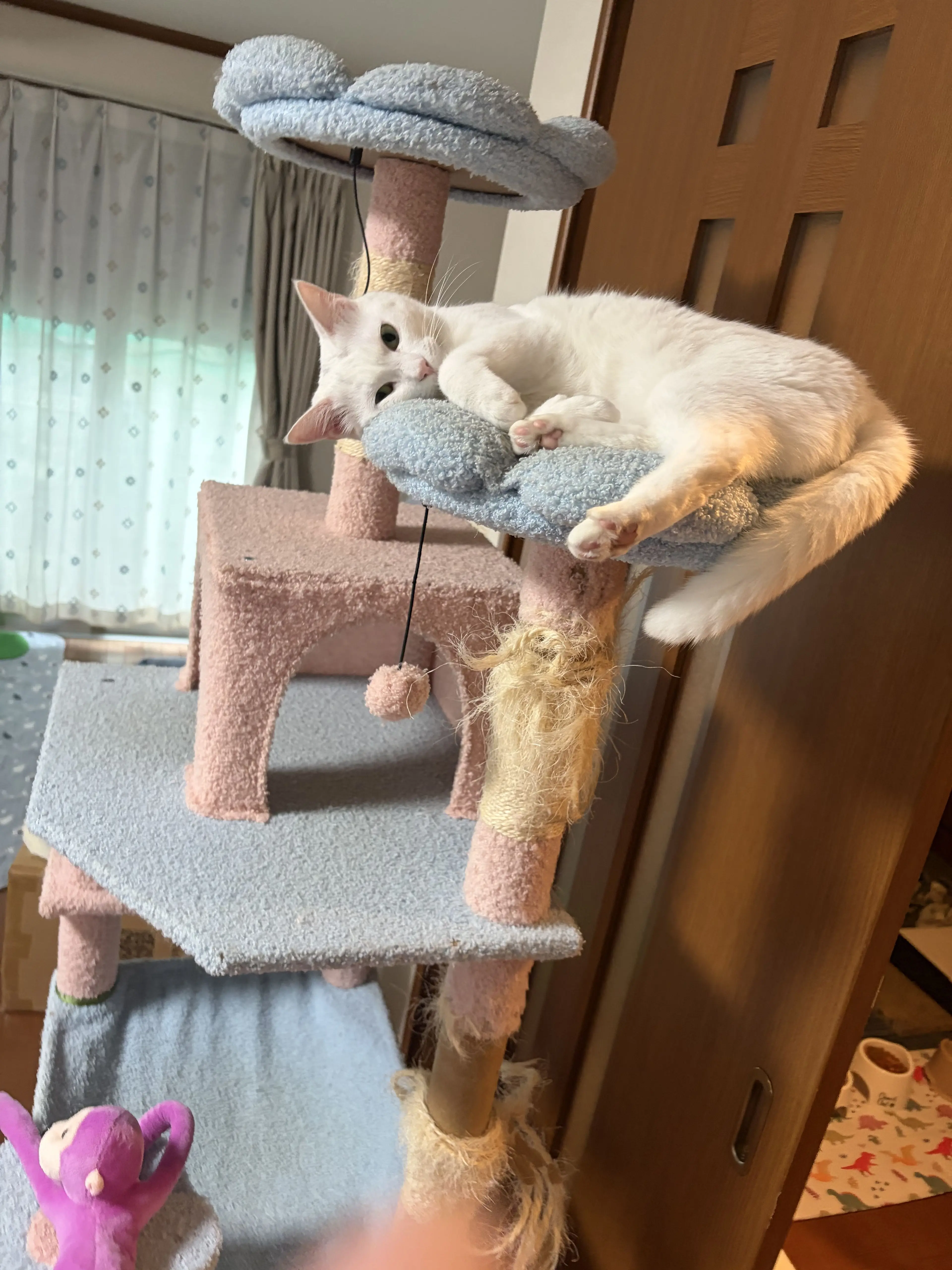 Kazumi260711의 スーパー行ったら友達が売ってた。