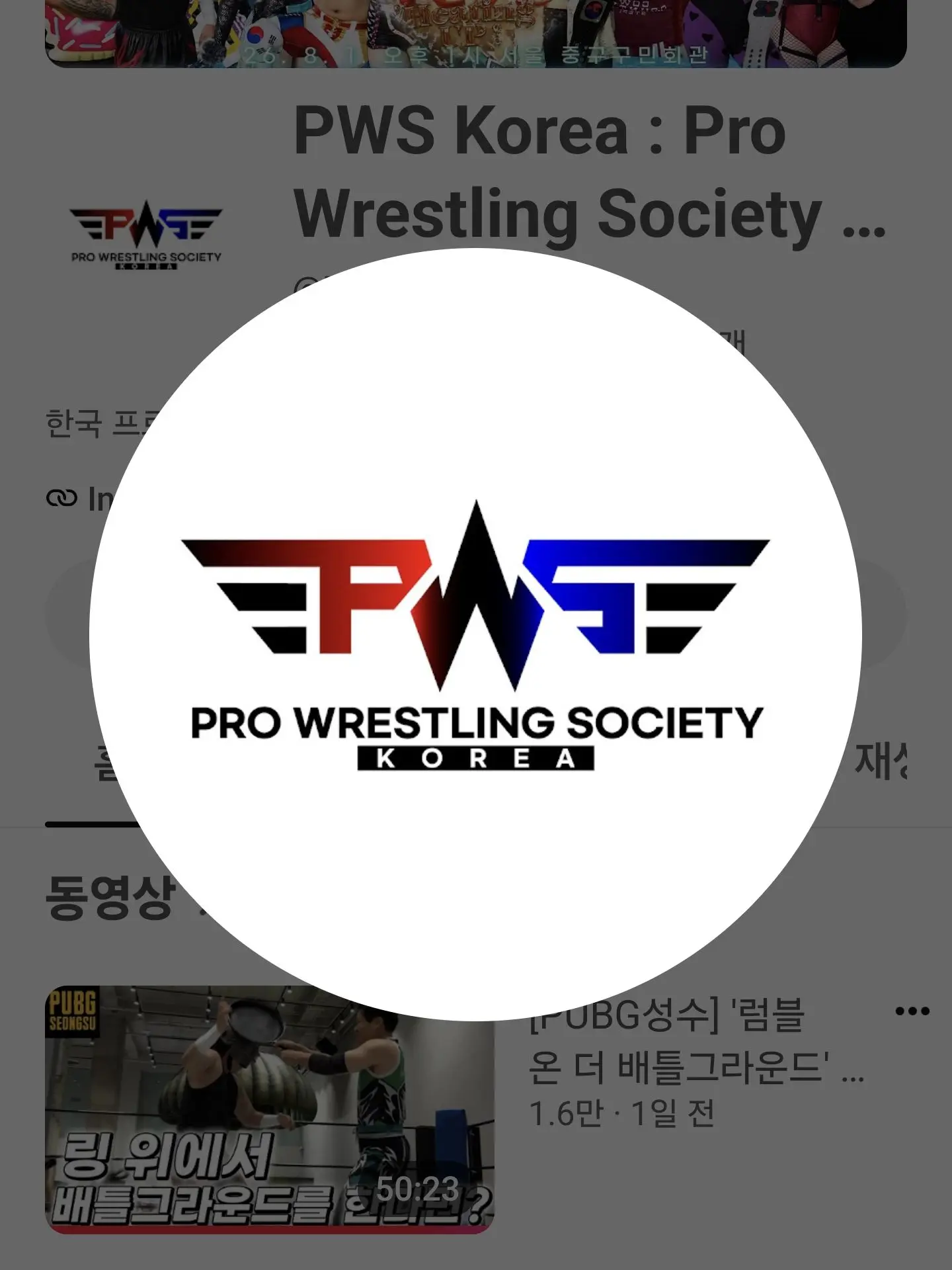 StingyPug4017의 (출품용)PWS