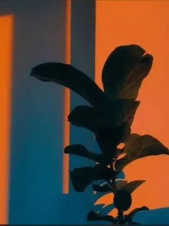 entarabb의 낙원대 T8