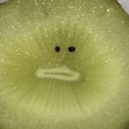 사탕구걸 하는 포세이큰