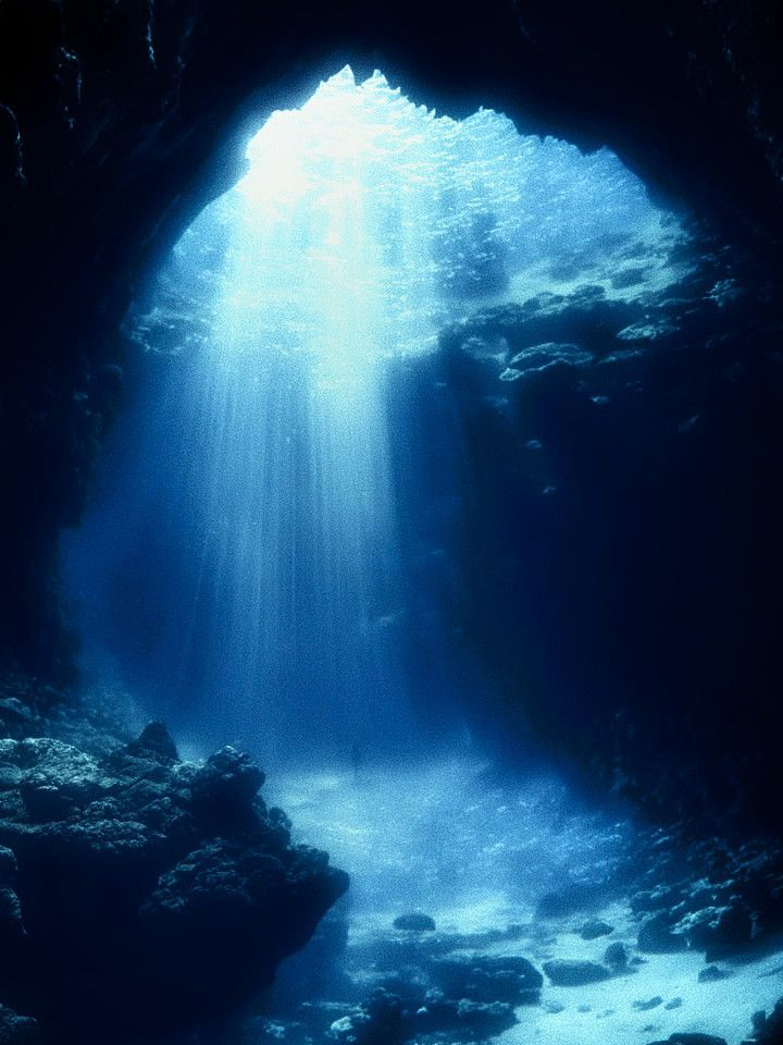 OCEAN blue 대표 이미지