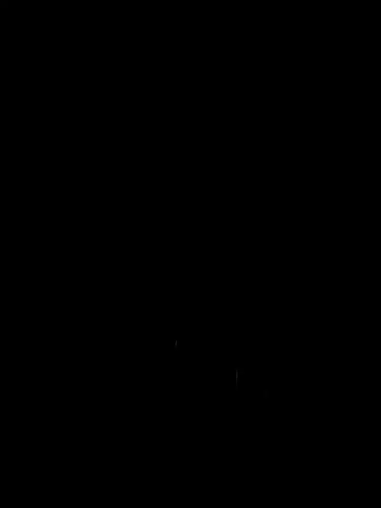 chfhreorkfl의 사역마로 소환당했다.