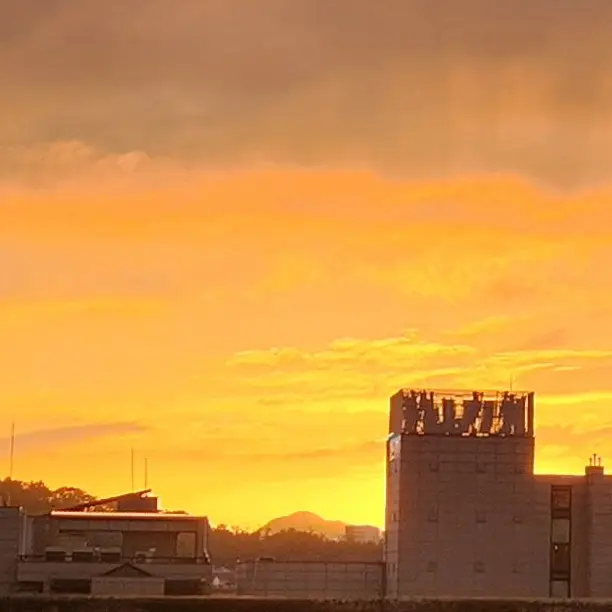 uni.tmiho의 리레볼루션