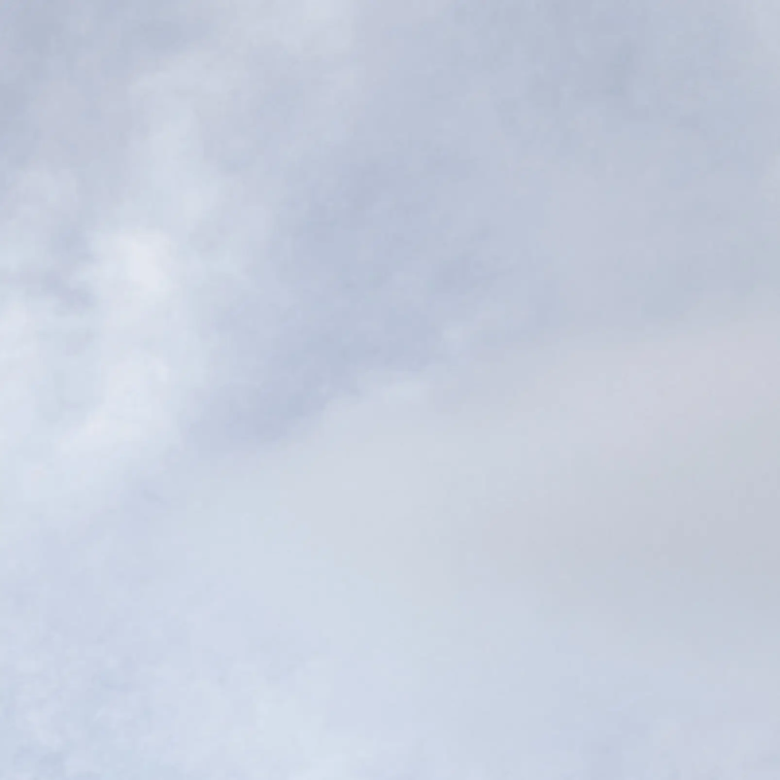 TidySwamp9136의 ORDER