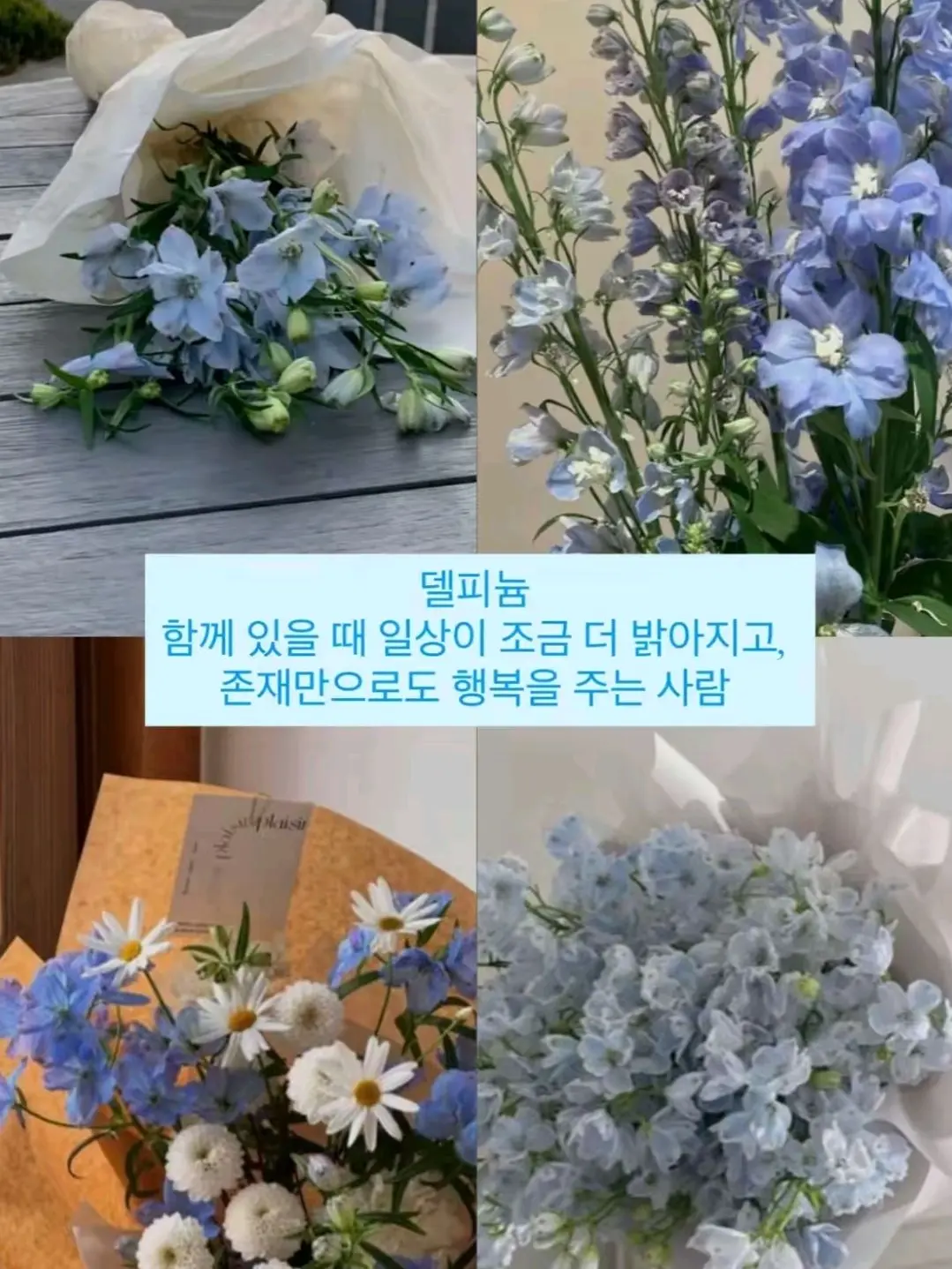 AwareIndri3252의 요루