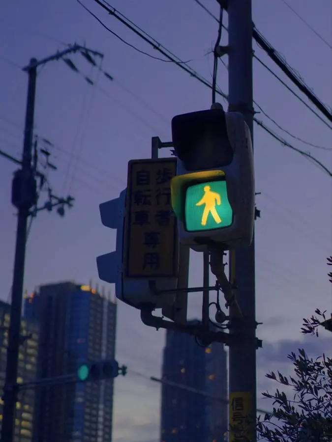 plant___0x0의 家出少女と一人の君