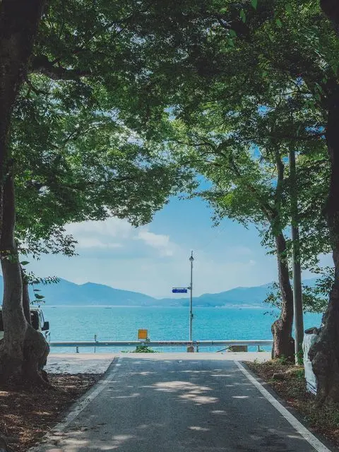 Coco10007의 픽셀리 f6+여우