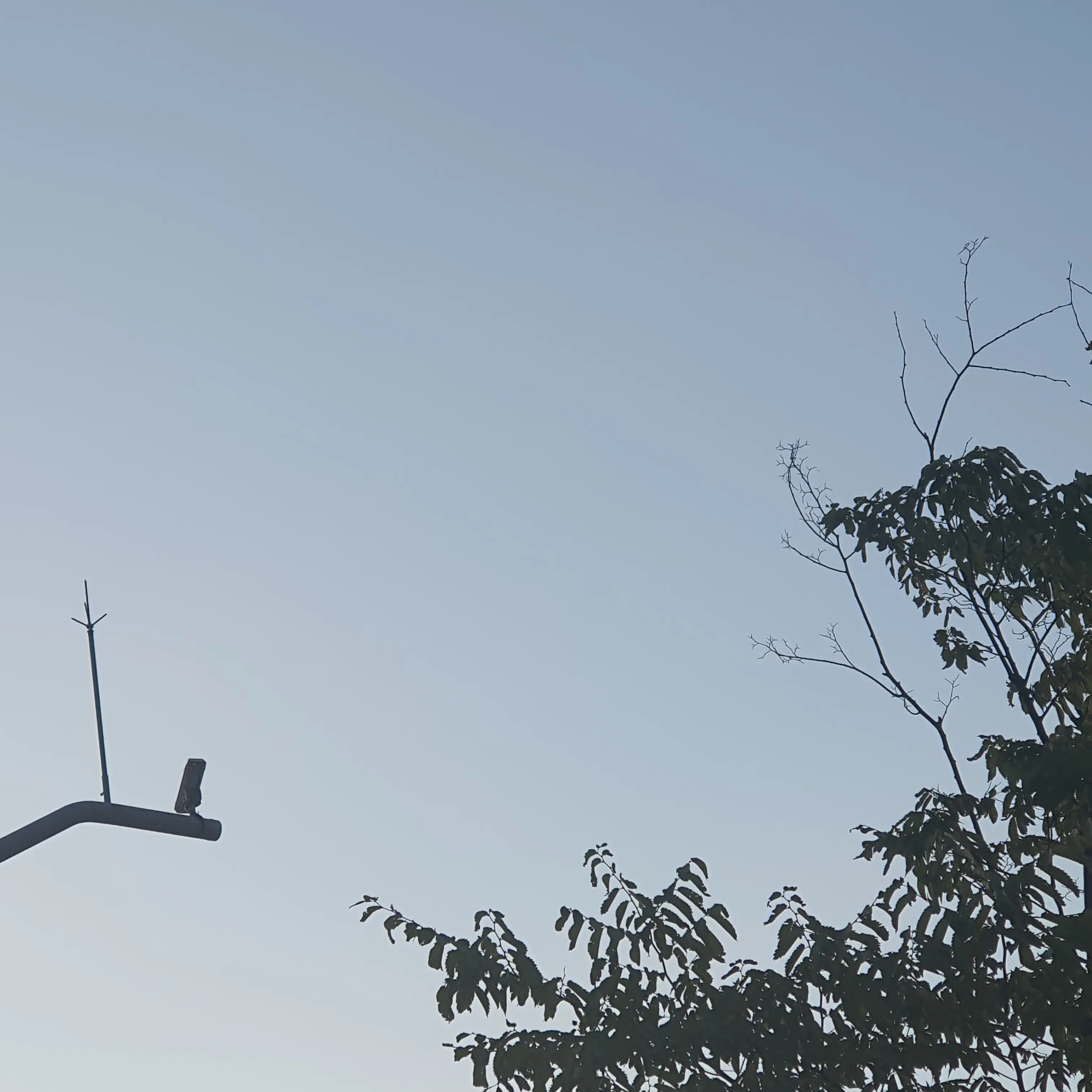 ChubbyCrane2960의 미수반+수이웃