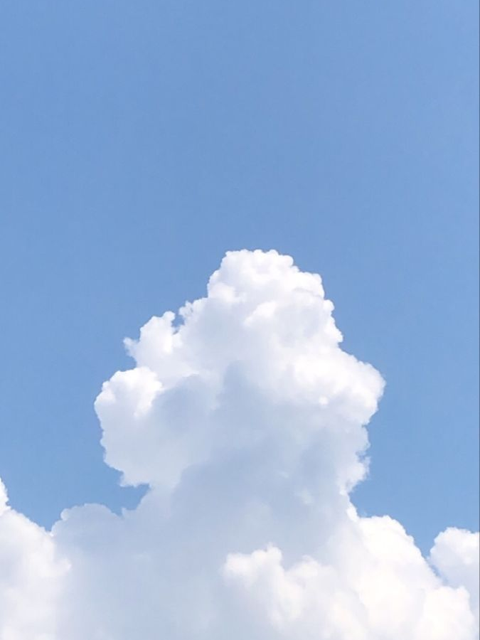 Unknown. 대표 이미지