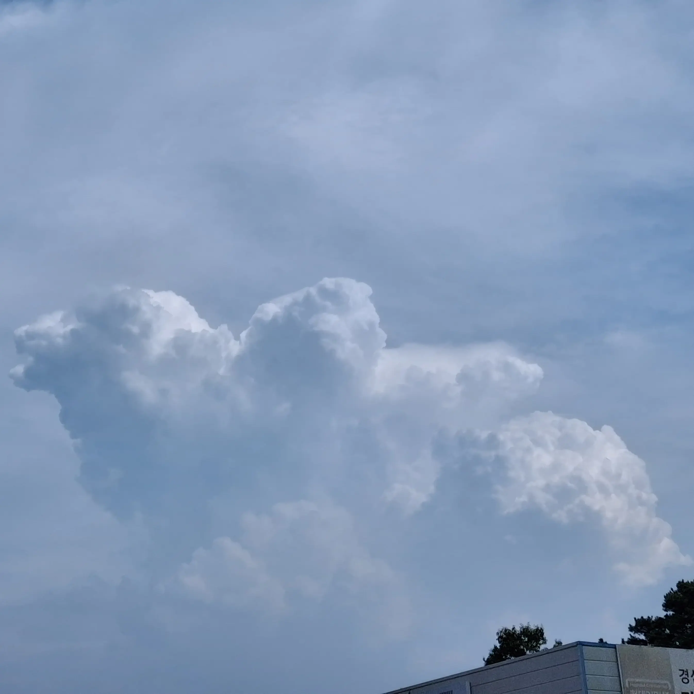 GrainyTrill6211의 도형 캠프