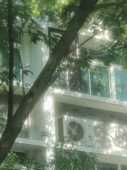 tomatomatomatomatomatomatomato의 (bl)신여름