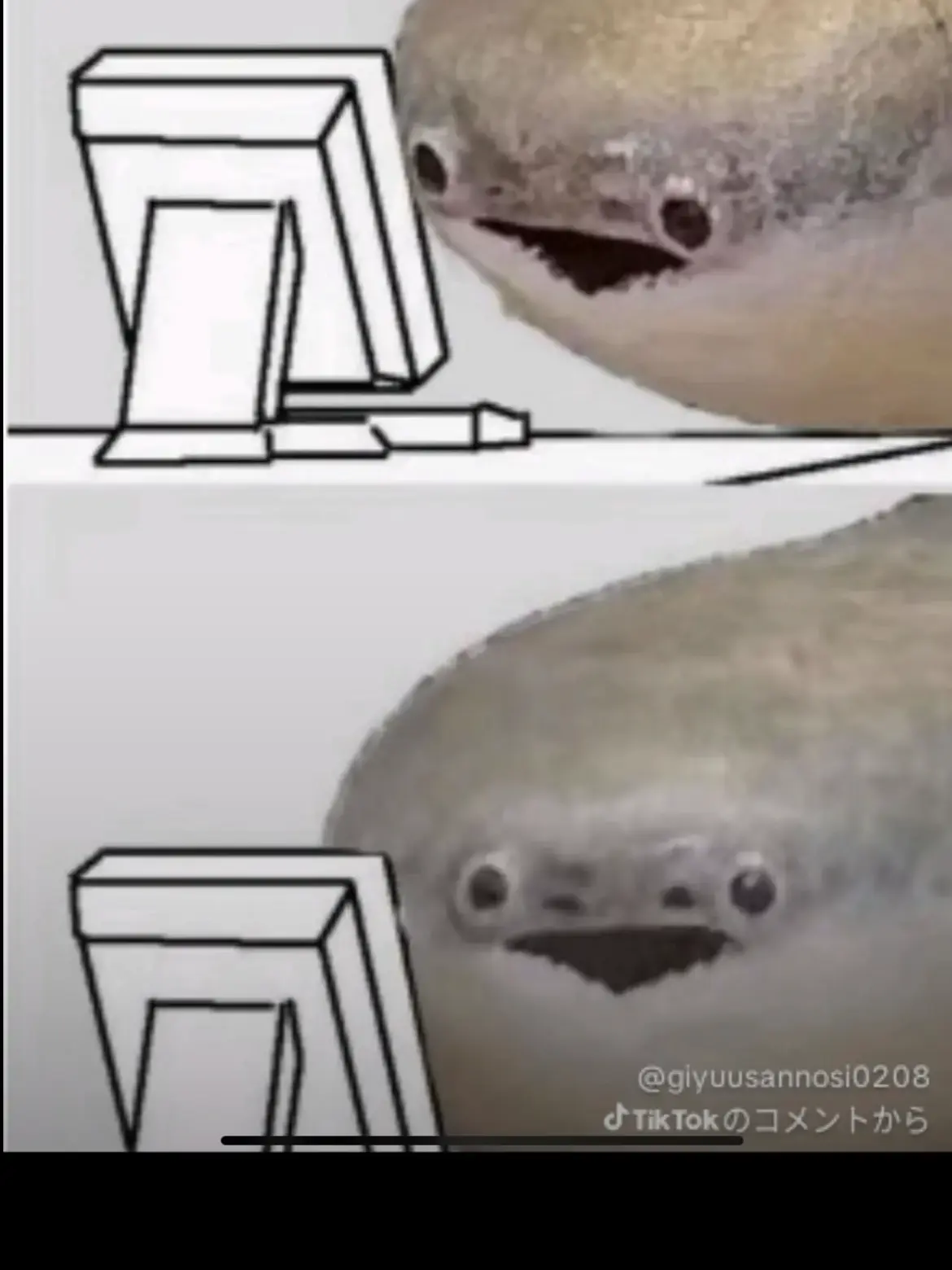 pomu251의 マフィアと仲良し