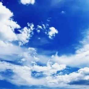 SnappyHeart3260의 미11친놈들과 동거