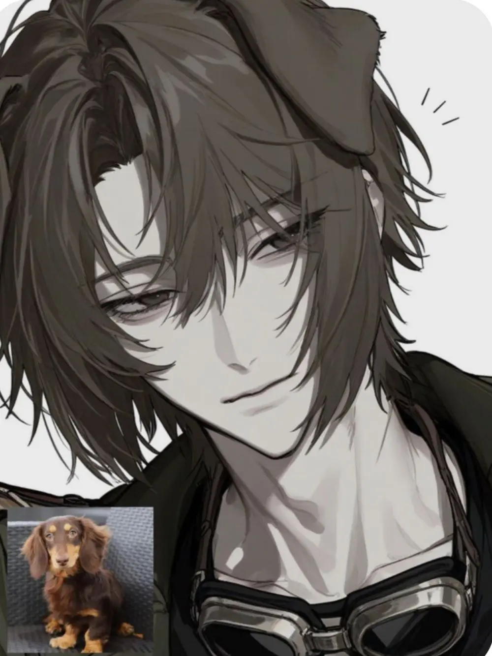 MistyGold3053의 『주인,밥 줘』