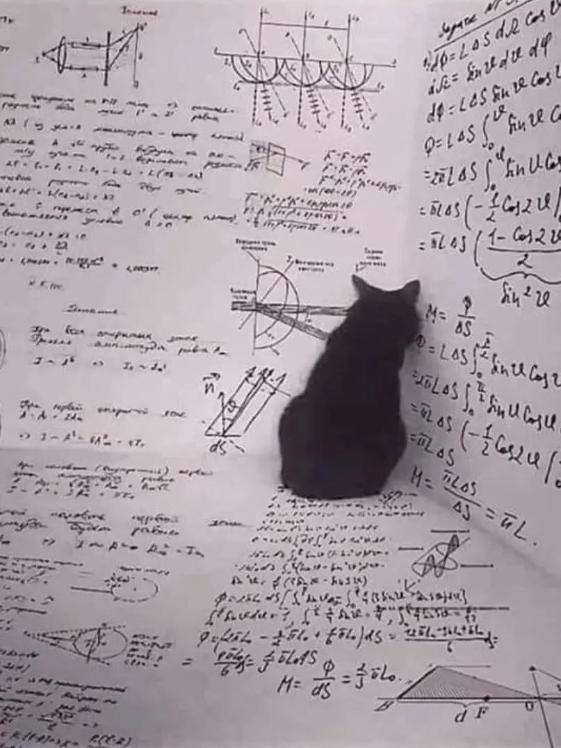 respear의 SCHRÖDINGER'S CAT!