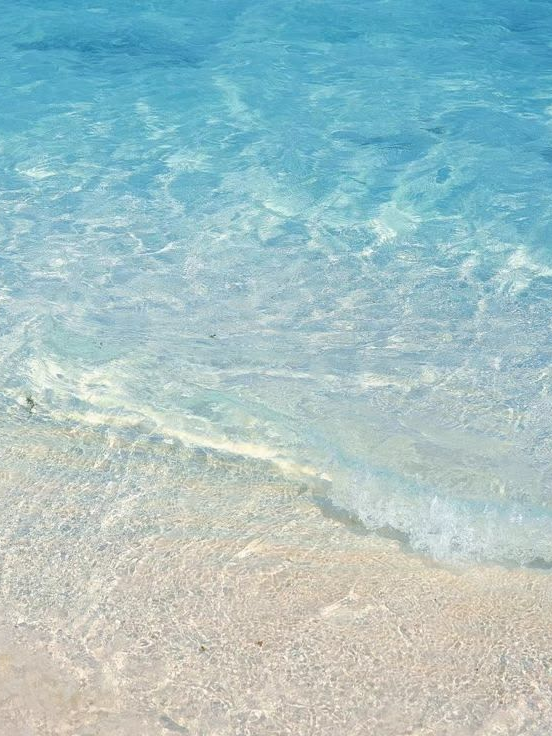 ocean BLUE 대표 이미지