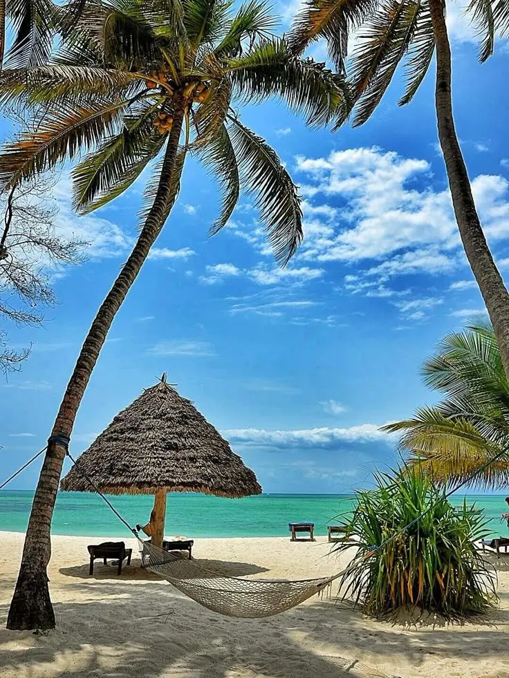 RipestOre2760의 🏖️ハワイへ！🏝️