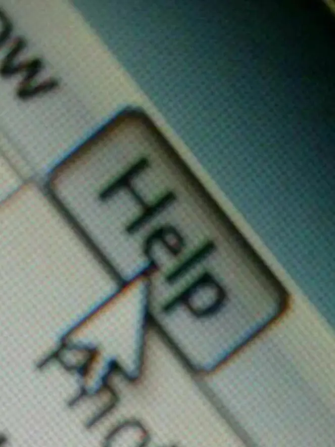 _H4의 플래그