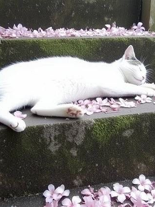 . 대표 이미지