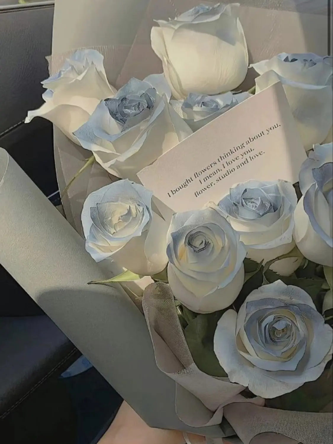 knt_hbr_zeffiro의 人間ペット