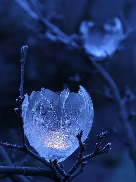 quickysleep의 아기 댕댕이/2p