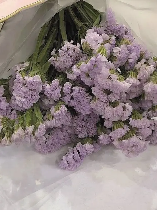 L2_j1n1c의 陳虎彬