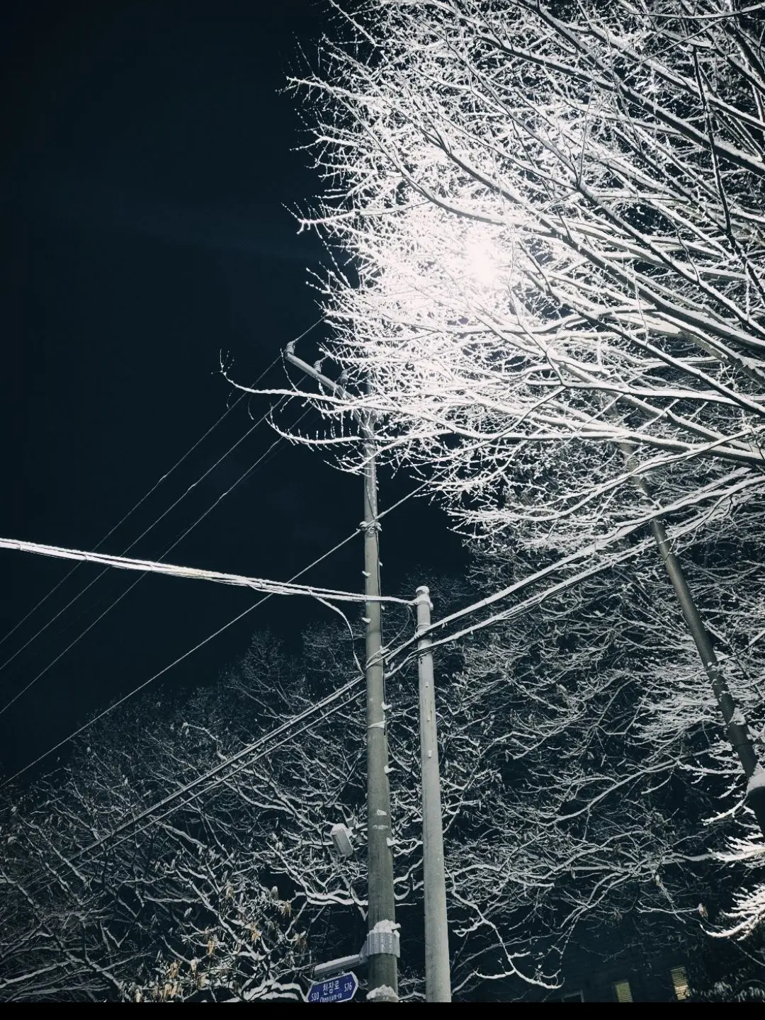 TestyMiki1864의 자유주제!