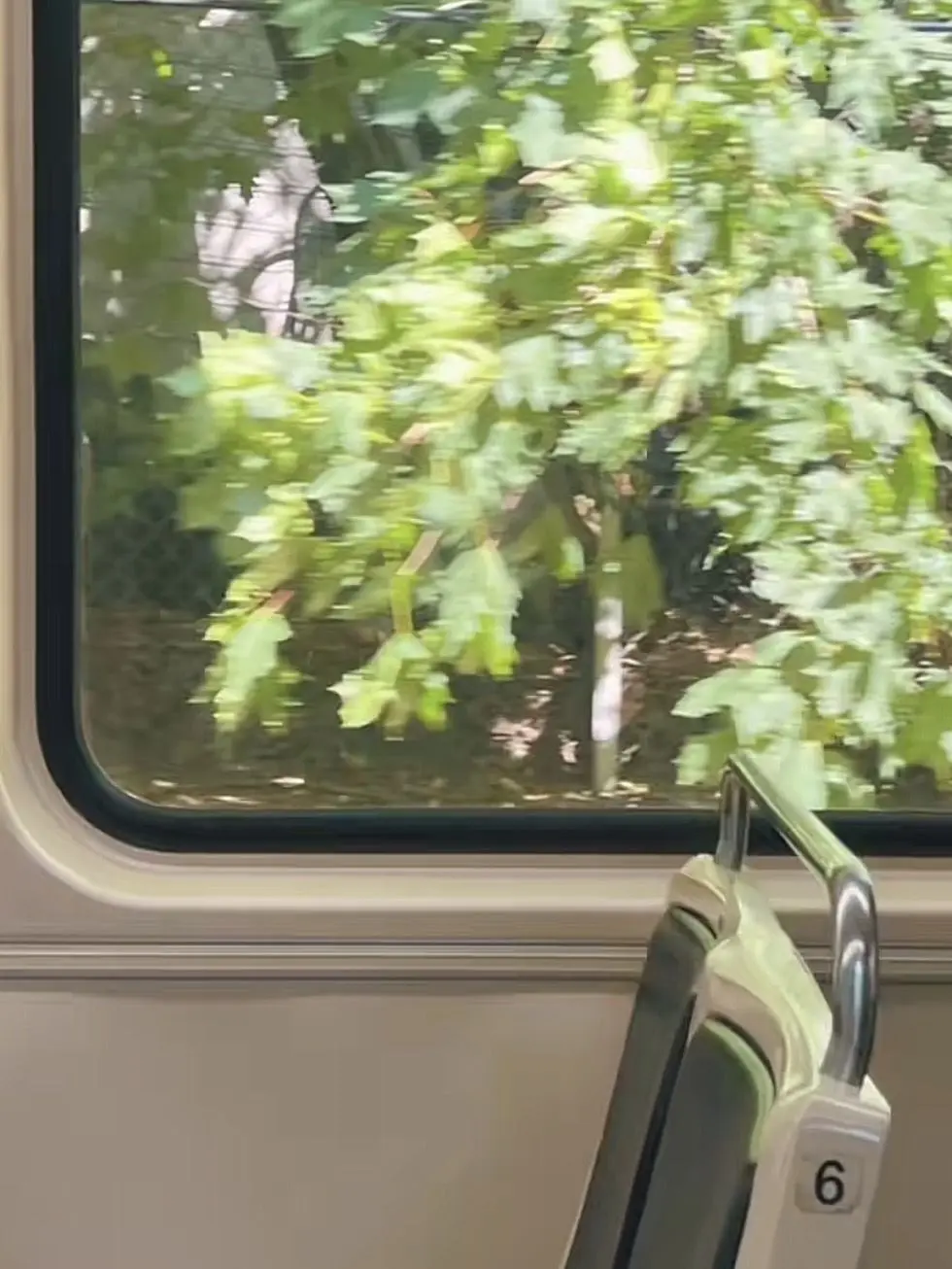 LOVE0_의 여름엔 陰[ 그늘 ]마저 푸르다.